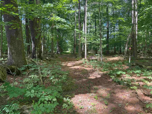 $249,000 | 0 Havoc Hill Road, East Dorset, VT 05253