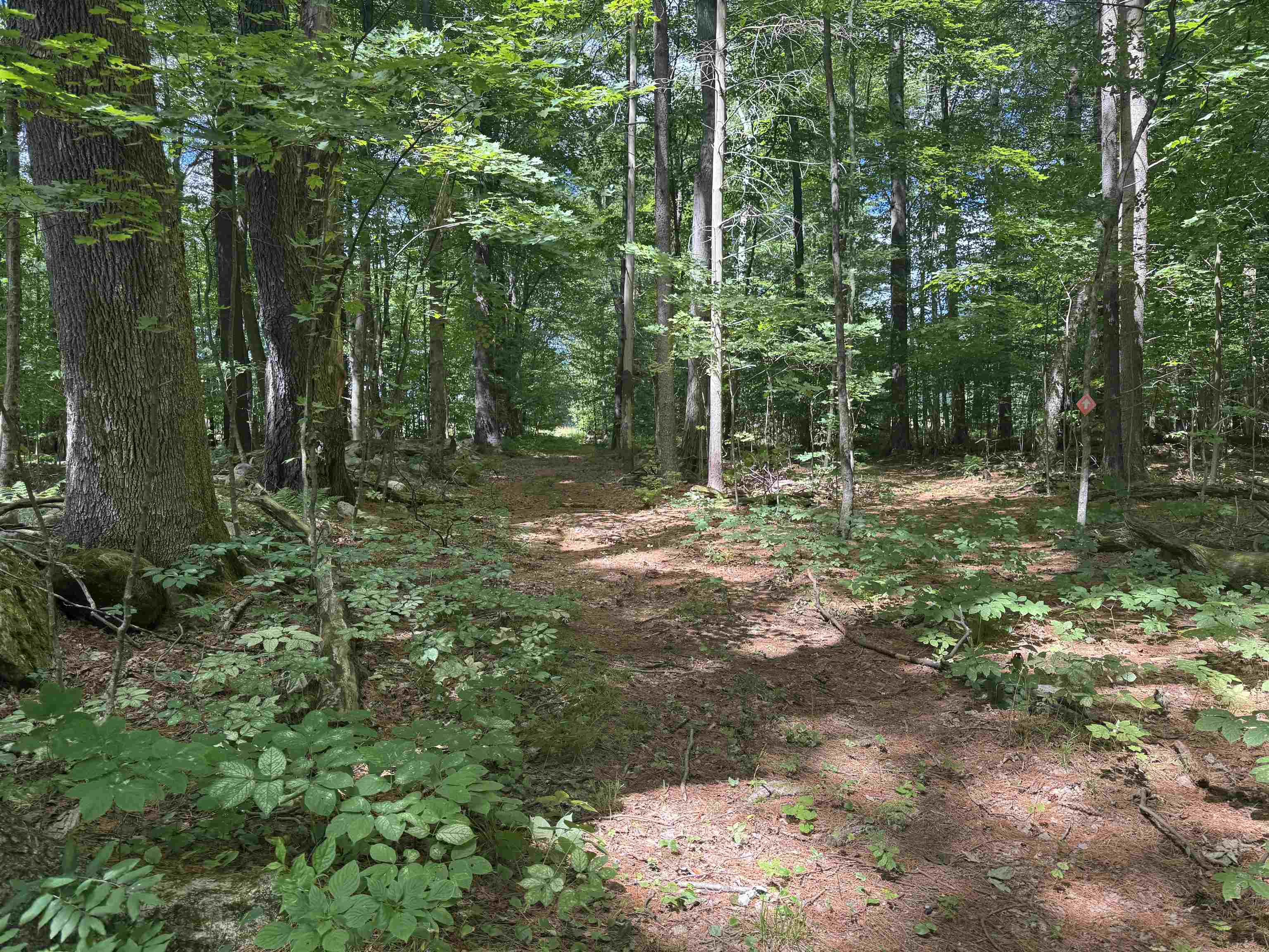 0 Havoc Hill Road East Dorset, VT 05253 - Photo 10 of 21