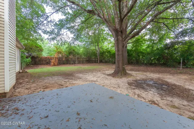a view of a dirt road with large trees