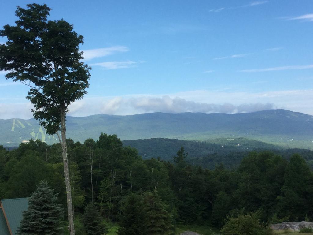 56 Sugar House Road West Dover, VT 05356 - Photo 1 of 34
