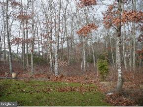 5 Pier Point Tuckerton, NJ 08087 - Photo 2 of 8 Gallery Image 2