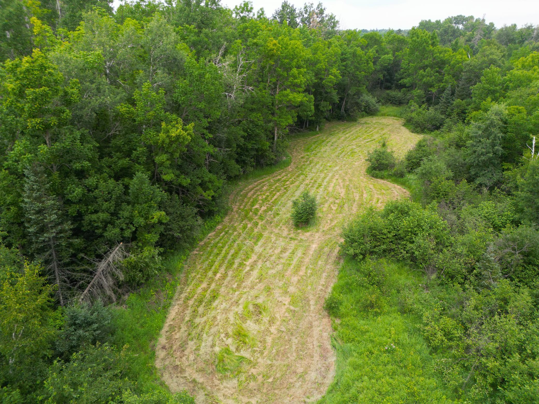 42050 Little Pine Road Emily, MN 56447 - Photo 105 of 141