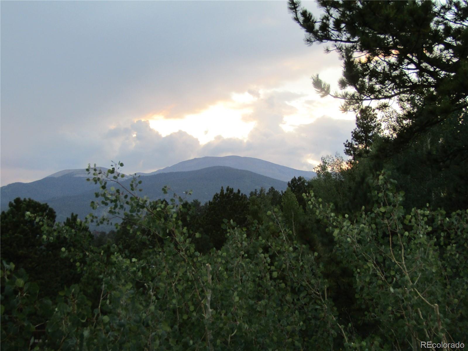 676 Gross Road Bailey, CO 80421 - Photo 4 of 18 a view of a bunch of trees and bushes