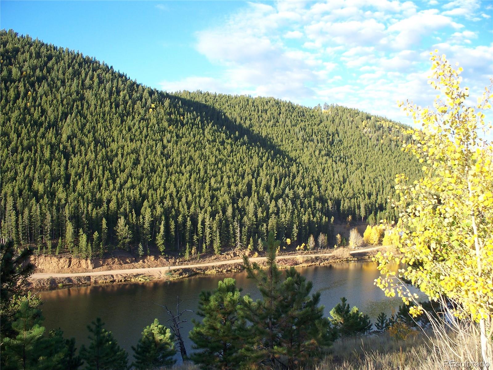 676 Gross Road Bailey, CO 80421 - Photo 6 of 18