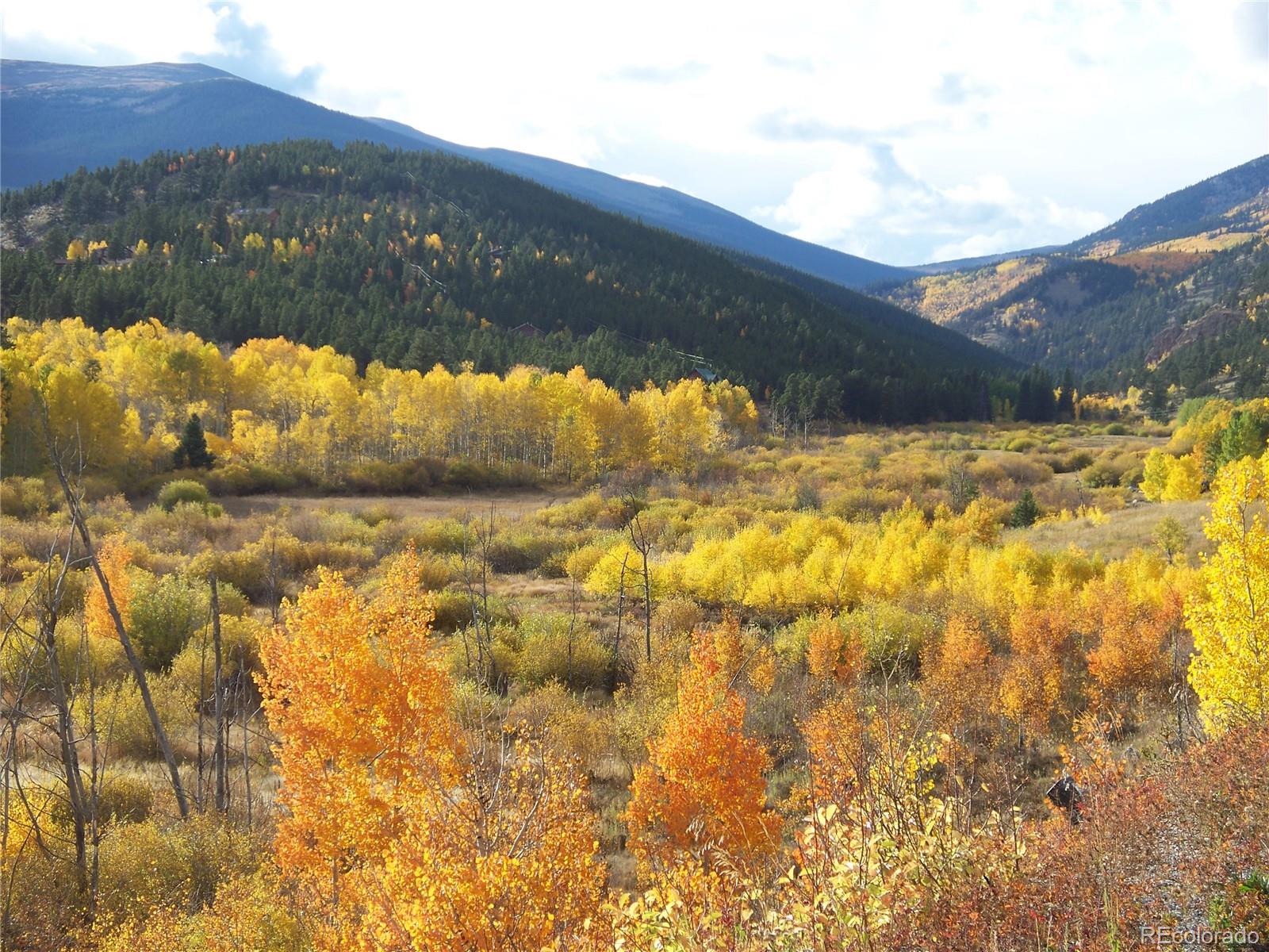 676 Gross Road Bailey, CO 80421 - Photo 7 of 18 a view of a lake view