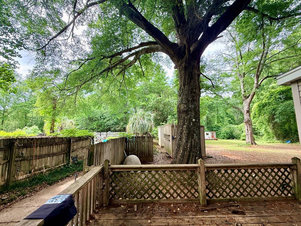 3231 County Road 46 Abbeville, AL 36310 - Photo 19 of 25