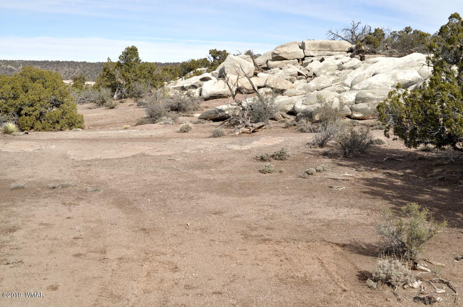3686 Damron Valley Road Snowflake, AZ 85937 - Photo 16 of 25