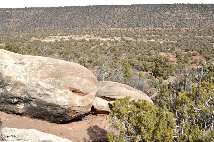 3686 Damron Valley Road Snowflake, AZ 85937 - Photo 18 of 25