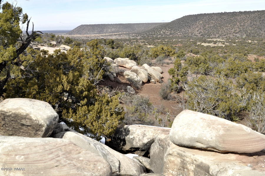 3686 Damron Valley Road Snowflake, AZ 85937 - Photo 19 of 25
