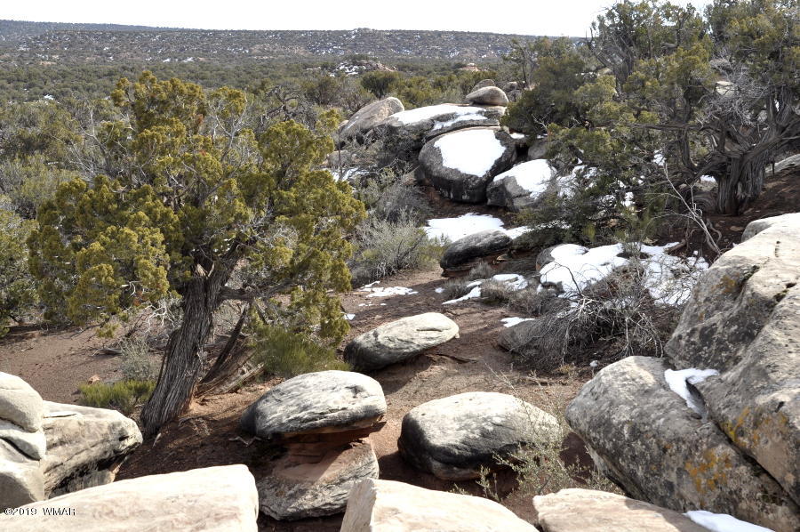 3686 Damron Valley Road Snowflake, AZ 85937 - Photo 20 of 25