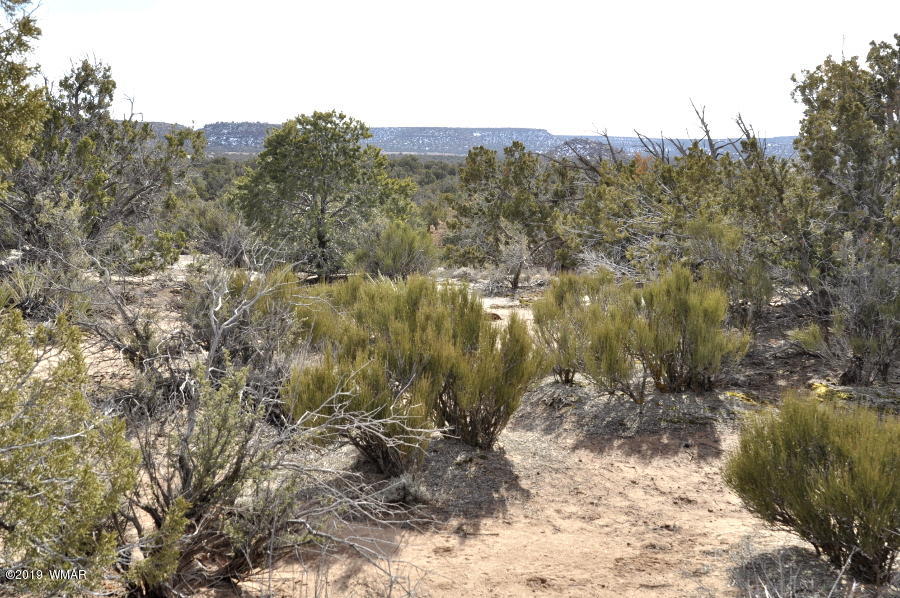 3686 Damron Valley Road Snowflake, AZ 85937 - Photo 23 of 25