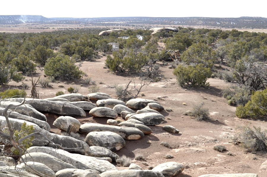 3686 Damron Valley Road Snowflake, AZ 85937 - Photo 24 of 25