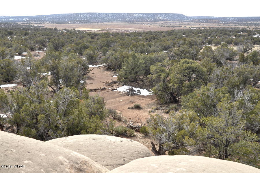 3686 Damron Valley Road Snowflake, AZ 85937 - Photo 4 of 25