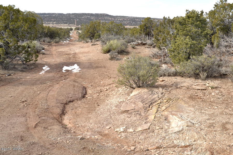 3686 Damron Valley Road Snowflake, AZ 85937 - Photo 7 of 25