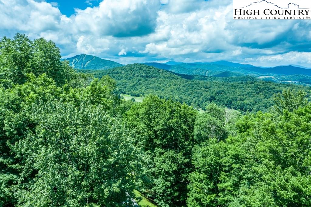 1019 Rockrose Road Banner Elk, NC 28604 - Photo 16 of 23 Gallery Image 16
