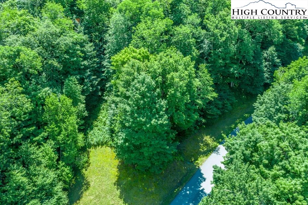 1019 Rockrose Road Banner Elk, NC 28604 - Photo 8 of 23 Gallery Image 8