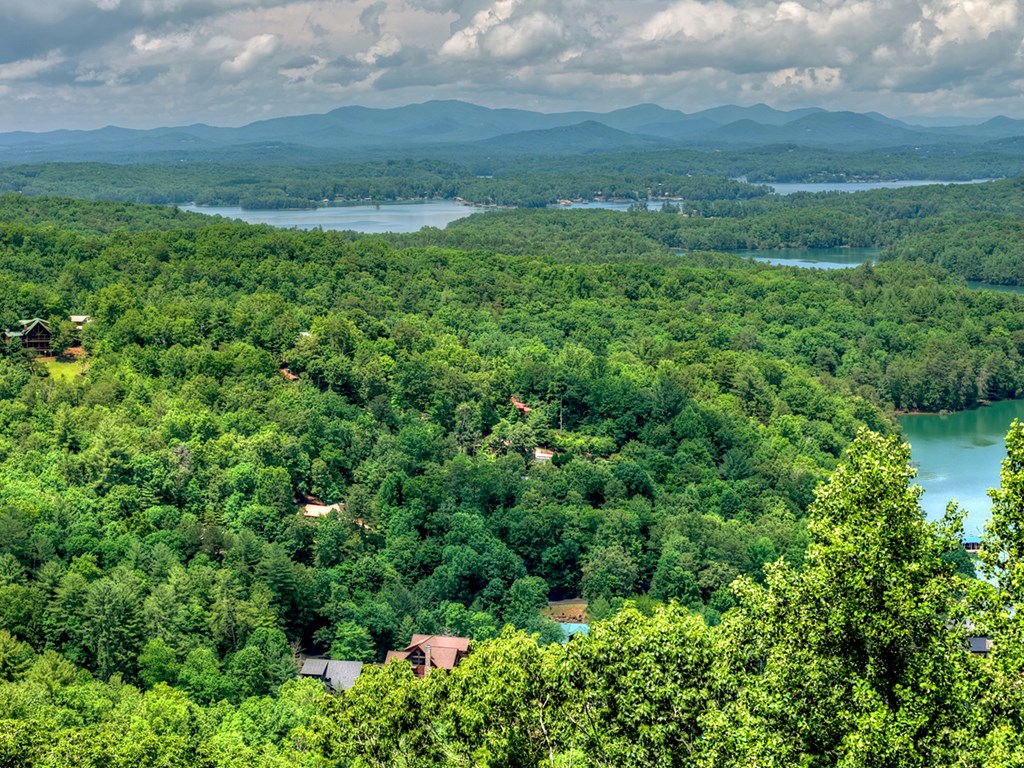 454 Genessee Path Blue Ridge, GA 30513 - Photo 12 of 95 Gallery Image 12