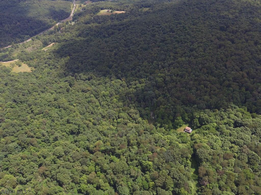 491 Mississippi Road Manns Choice, PA 15550 - Photo 10 of 30 a view of a forest with a street
