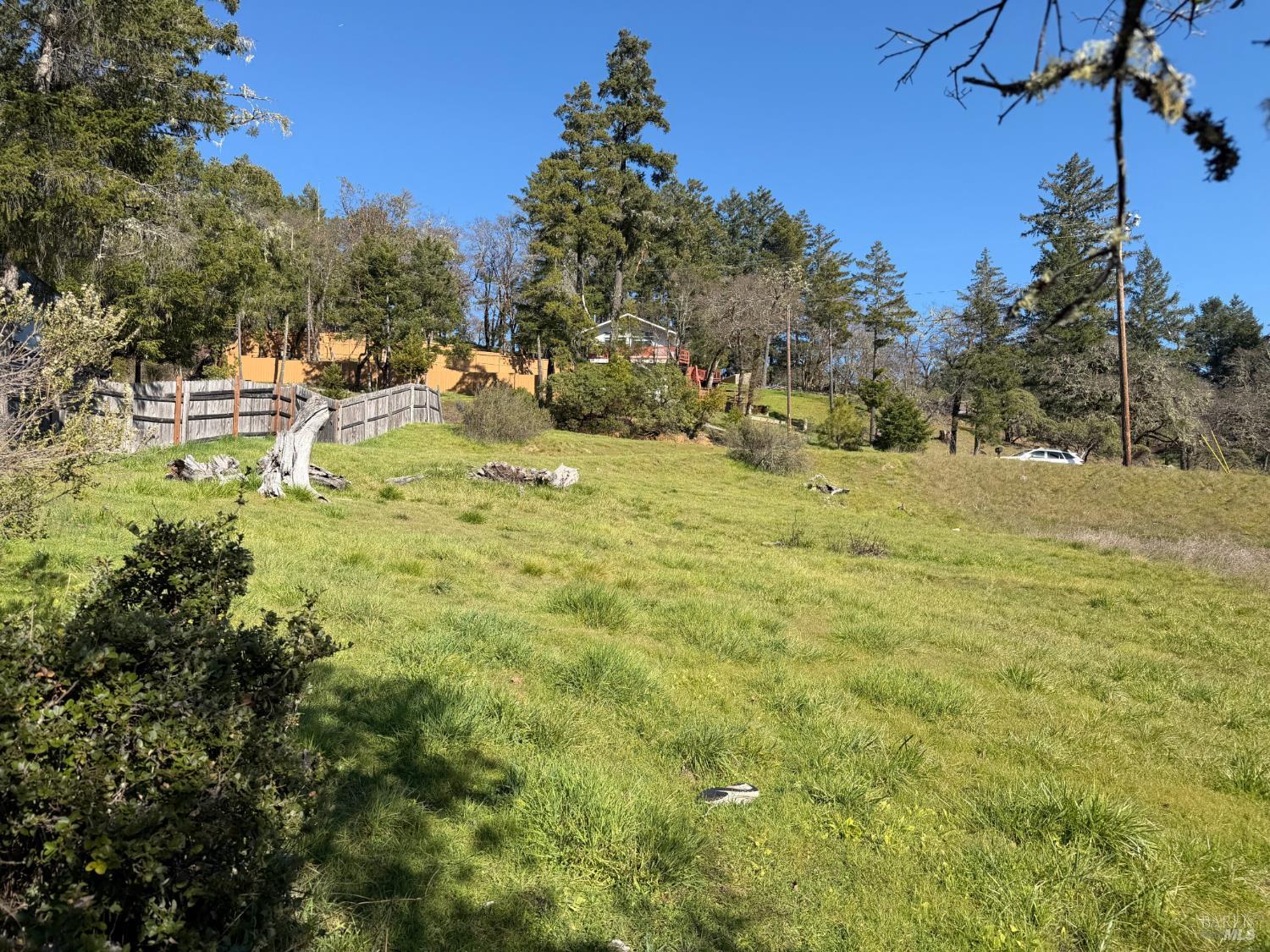 26600 Sherwood Road Willits, CA 95490 - Photo 6 of 10 a view of outdoor space with trees all around