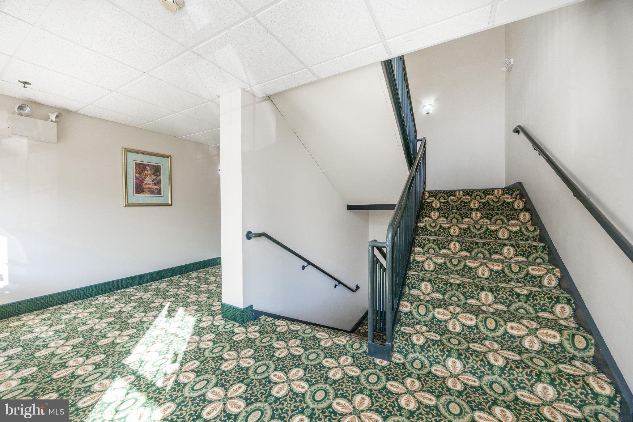 331 Brandon Road Norristown, PA 19403 - Photo 24 of 44 Inviting staircase with patterned carpet.