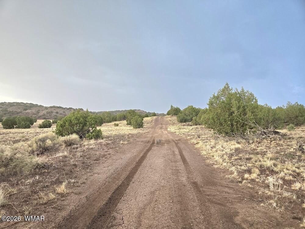 Lot 9 Pinon Valley Ranch Concho, AZ 85924 - Photo 5 of 12 a view of a dry yard with wooden fence