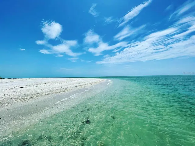 a view of a dry yard