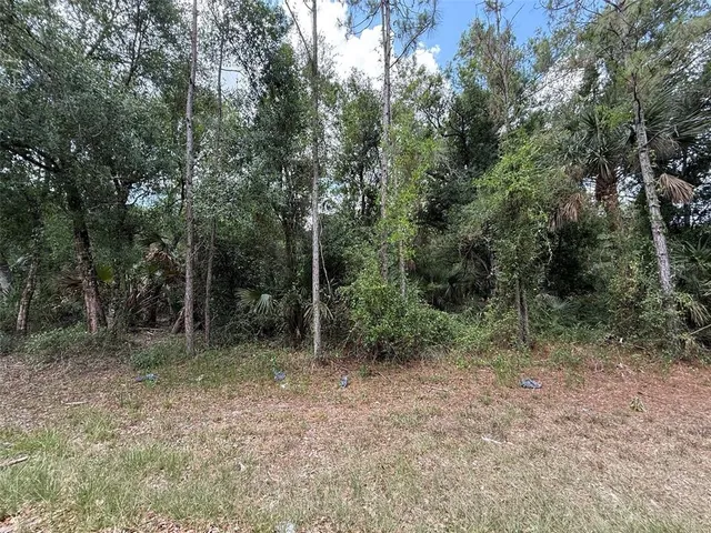 a view of outdoor space and view of trees