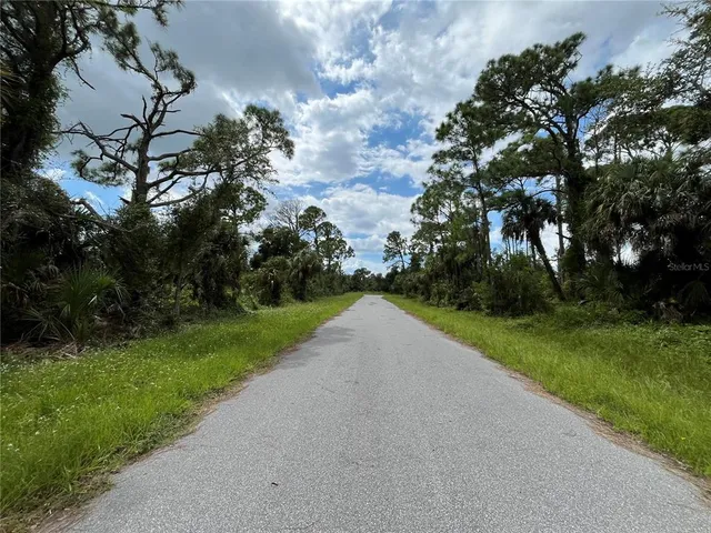 a view of a street both of side forest