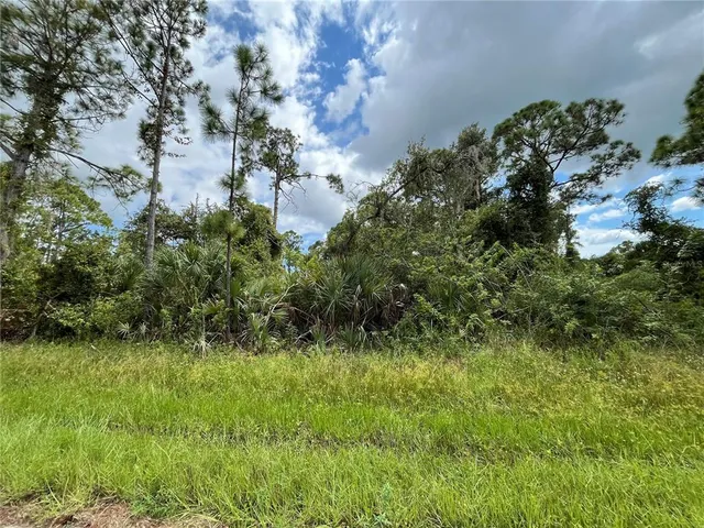 a view of a lush green space