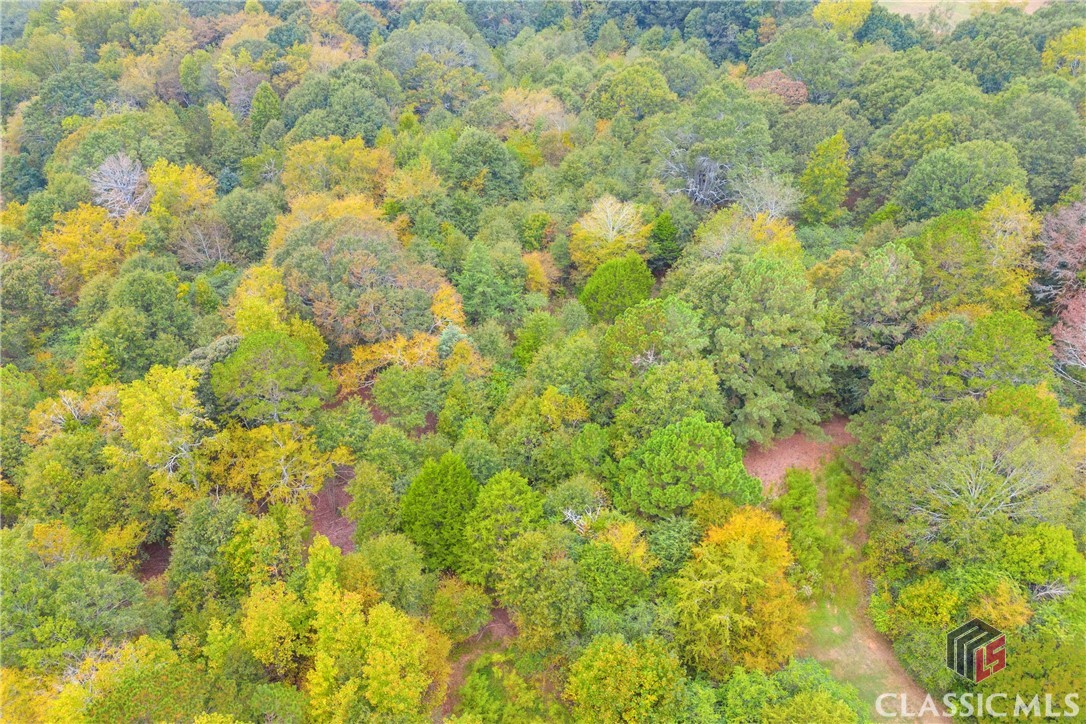 0 Cedar Nicholson, GA 30565 - Photo 8 of 17
