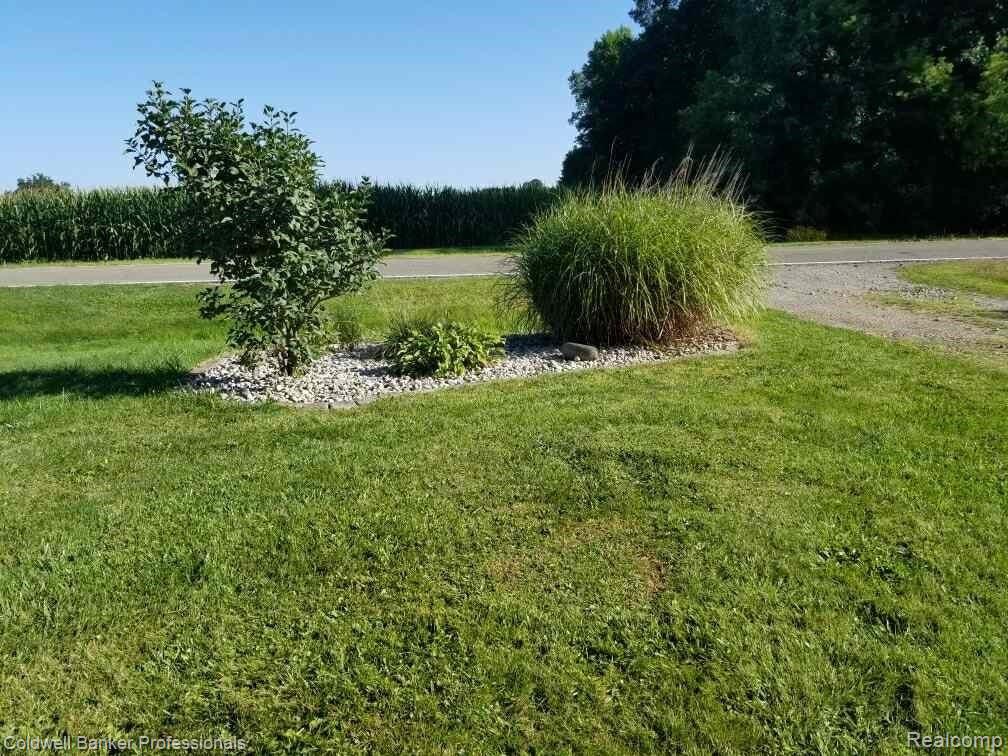 5124 East Frances Road Mount Morris, MI 48458 - Photo 16 of 16 IMG-8199.JPG