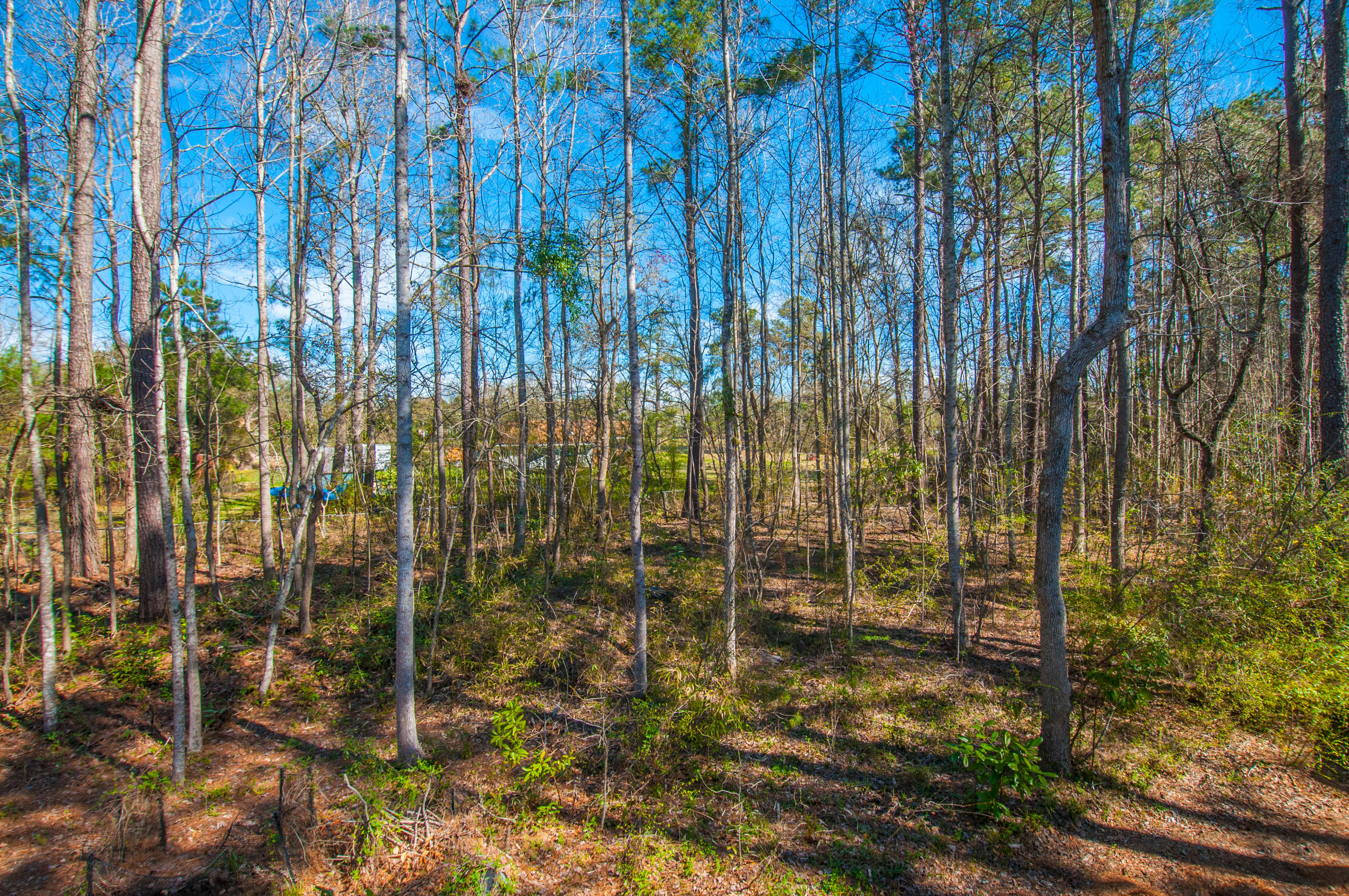 202 Huntington Road Summerville, SC 29483 - Photo 30 of 31 _DSC8794