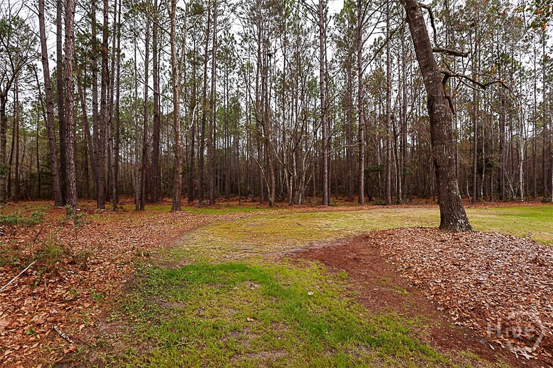 113 Timbergate Trail Rincon, GA 31326 - Photo 8 of 40