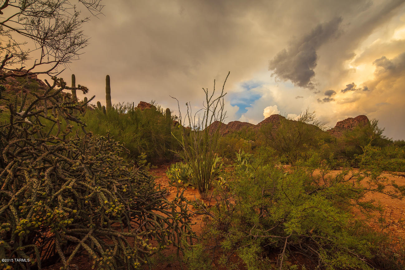 3610 West Milton Road Tucson, AZ 85746 - Photo 17 of 17