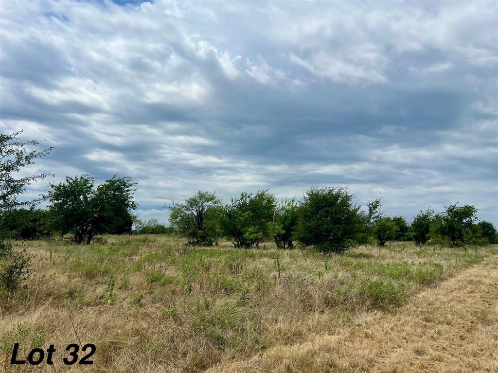 1012 Goodnight Trail Perrin, TX 76486 - Photo 6 of 9