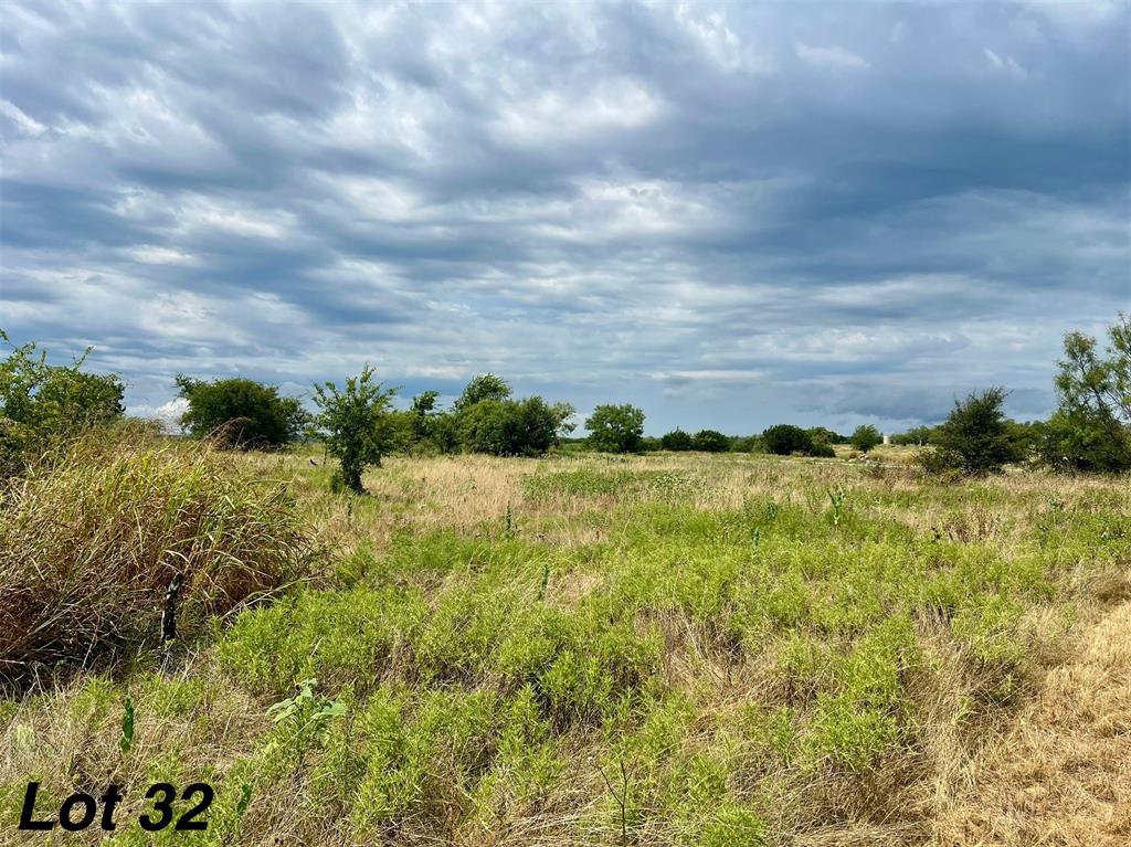 1012 Goodnight Trail Perrin, TX 76486 - Photo 7 of 9 a view of a green field