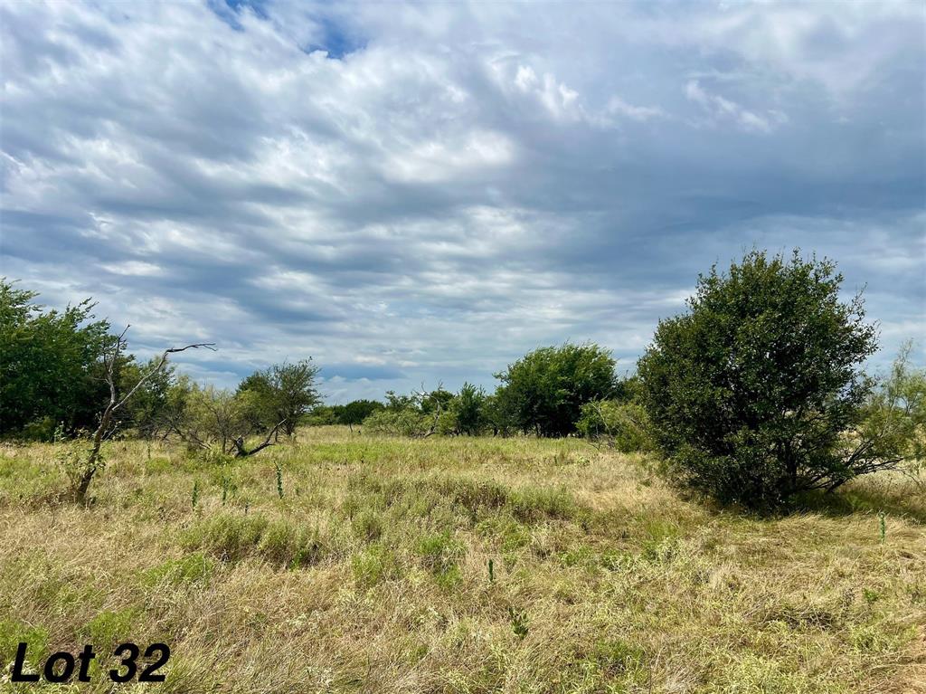 1012 Goodnight Trail Perrin, TX 76486 - Photo 8 of 9 a view of a yard with plants and large trees