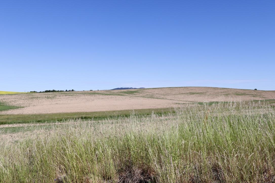 11925 East Elder Road Valleyford, WA 99036 - Photo 11 of 19 Gallery Image 11