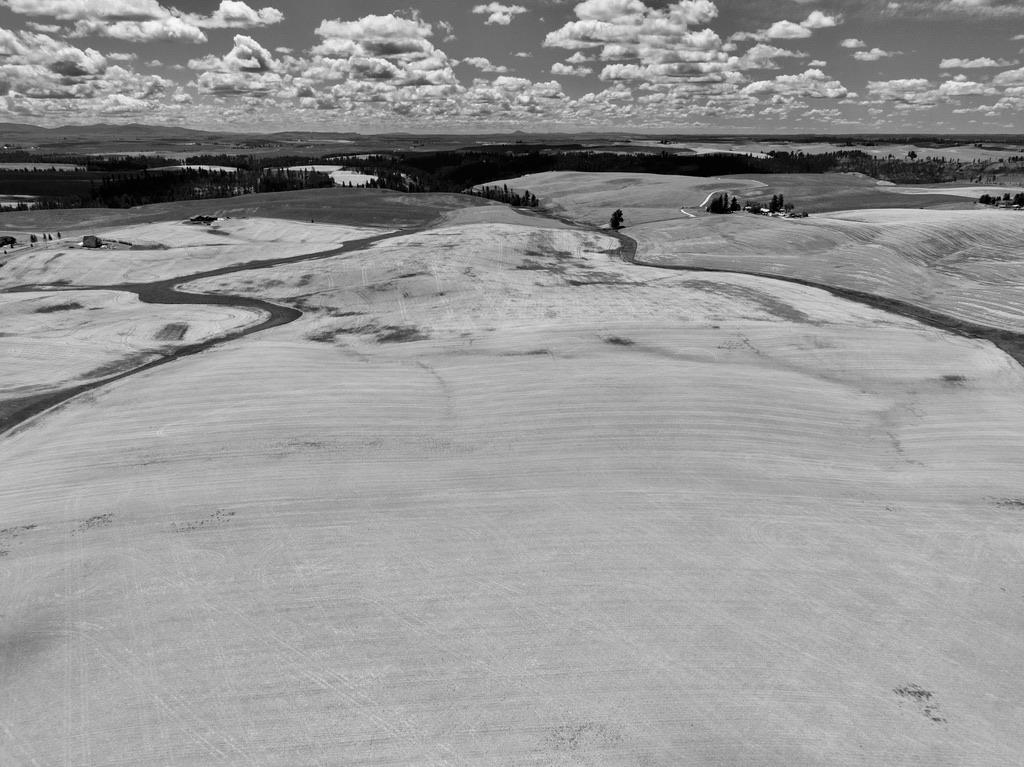 11925 East Elder Road Valleyford, WA 99036 - Photo 13 of 19 Gallery Image 13