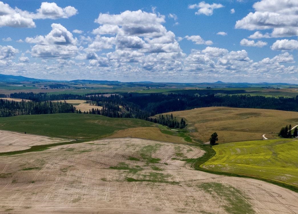 11925 East Elder Road Valleyford, WA 99036 - Photo 9 of 19 Gallery Image 9