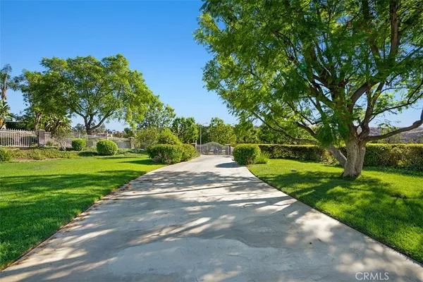 a view of a park with tree s