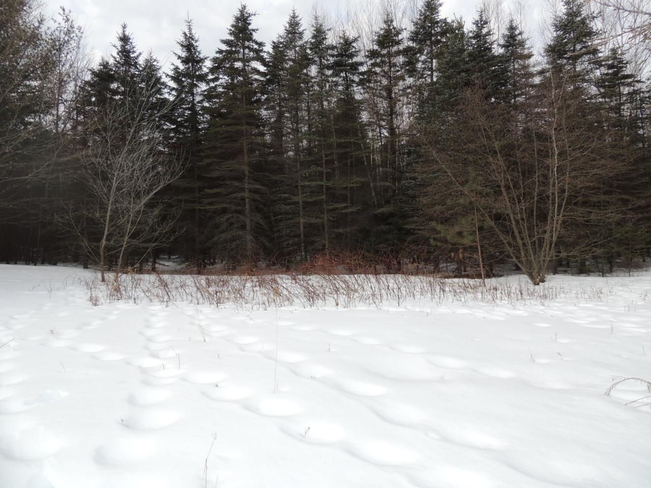 W7268 Riverside Road Antigo, WI 54409 - Photo 8 of 22 Gallery Image 8