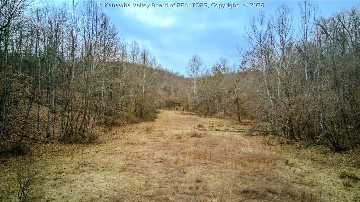 0 Evansview Road Evans, WV 25241 - Photo 26 of 41 Gallery Image 26