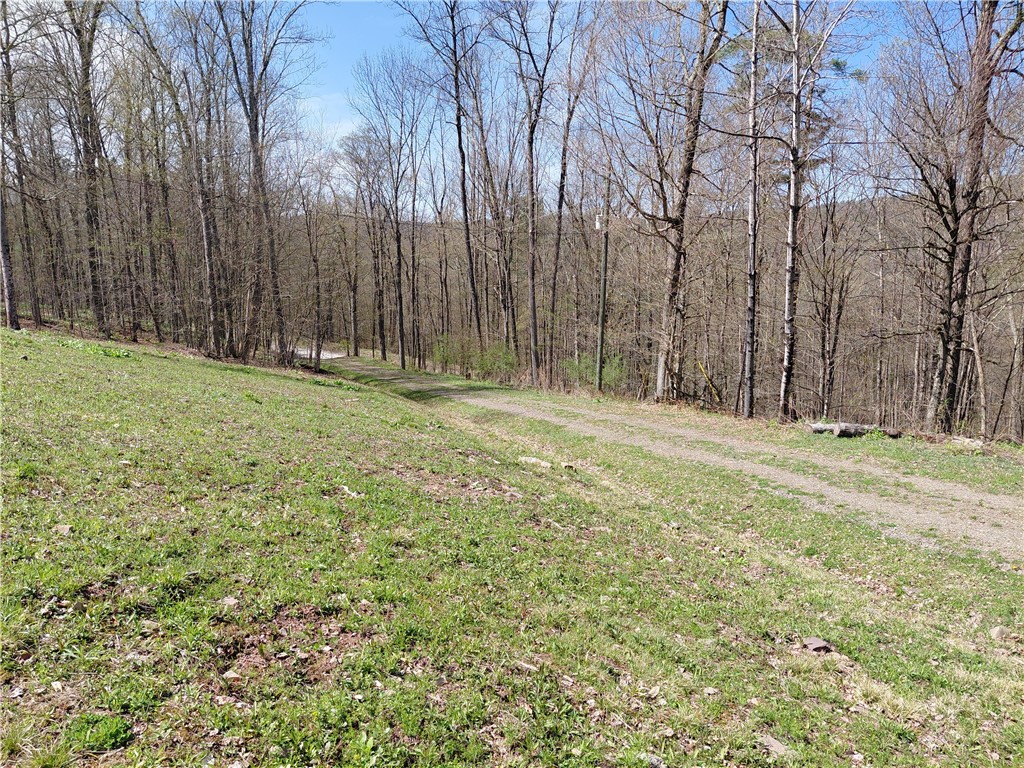 2930 Blue School Road Franklin, NY 13775 - Photo 15 of 20