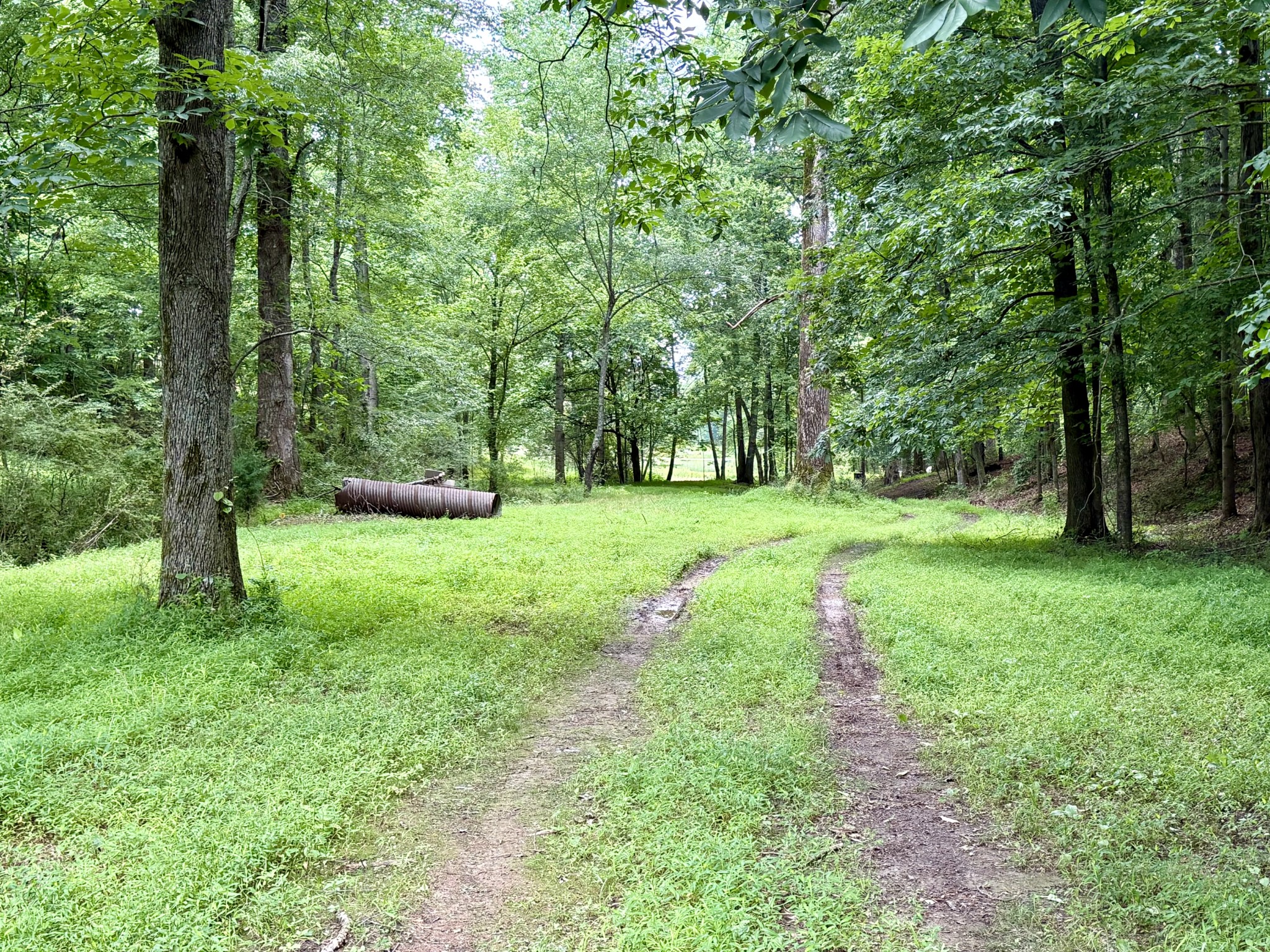 0 Crowder Road Lawrenceburg, TN 38464 - Photo 19 of 58