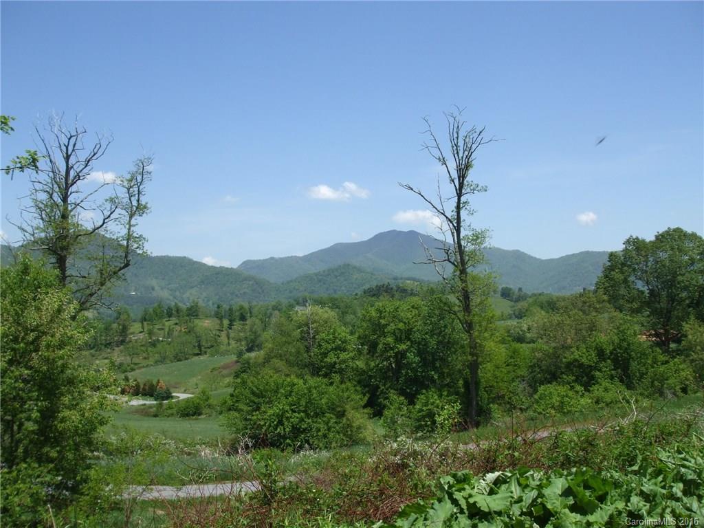 Lot #20 Frank Davis Road Waynesville, NC 28785 - Photo 1 of 5 Gallery Image 1