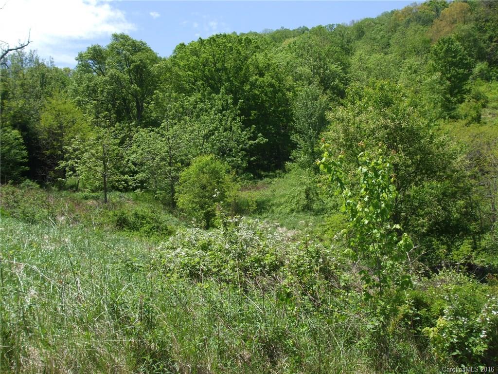 Lot #20 Frank Davis Road Waynesville, NC 28785 - Photo 3 of 5 Gallery Image 3