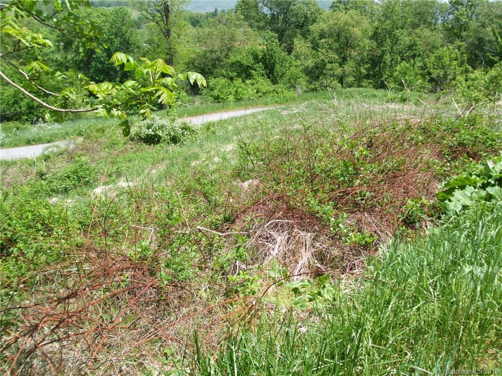 Lot #20 Frank Davis Road Waynesville, NC 28785 - Photo 4 of 5 Gallery Image 4