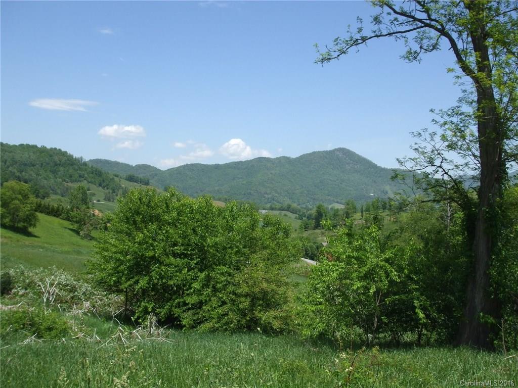 Lot #20 Frank Davis Road Waynesville, NC 28785 - Photo 5 of 5 Gallery Image 5