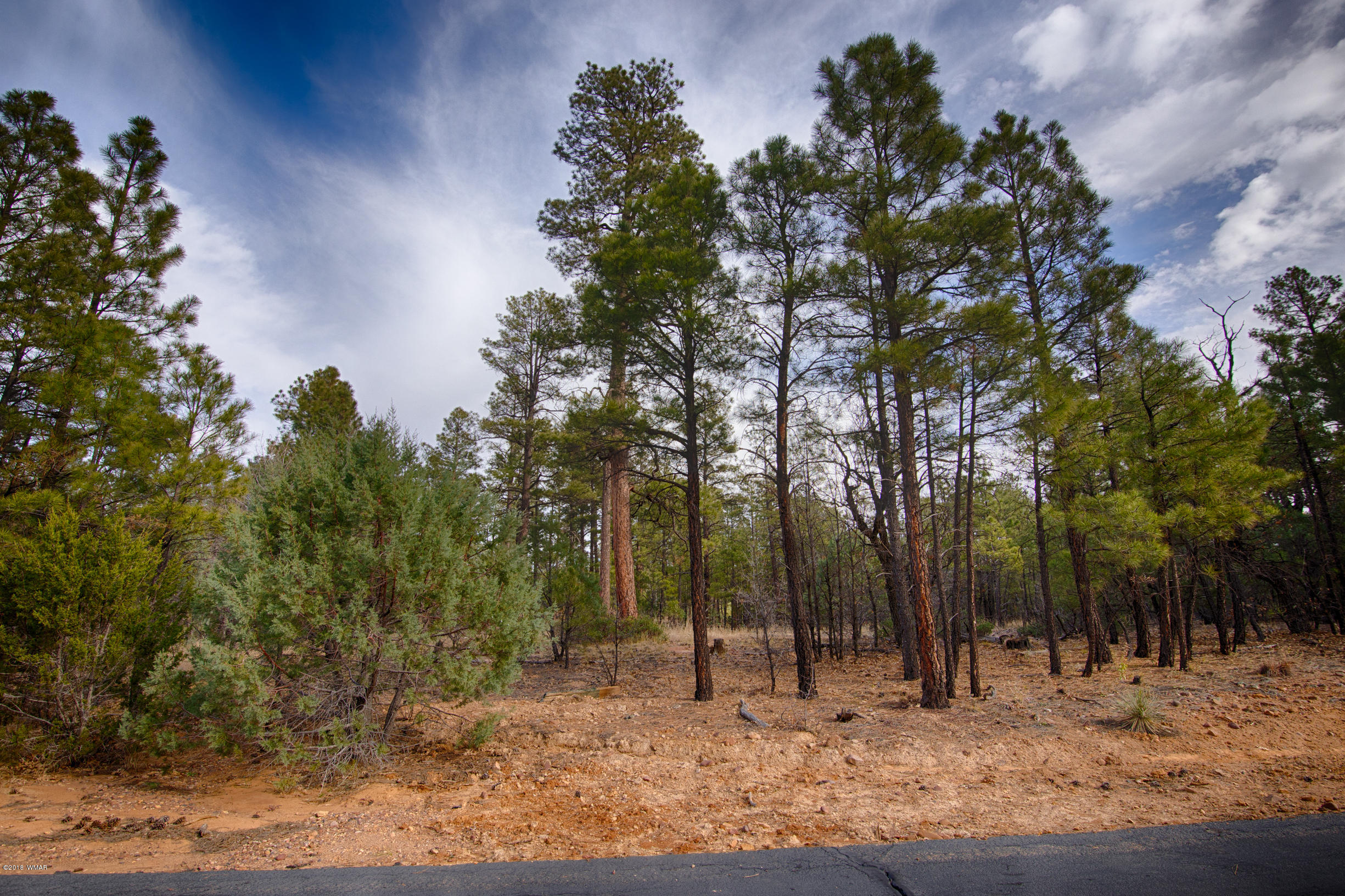 141 South Silktassel Road Show Low, AZ 85901 - Photo 2 of 15
